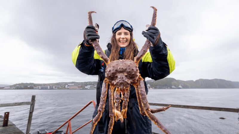 Vrouw houdt een king crab omhoog tijdens een King Crab Safari excursie in Noorwegen