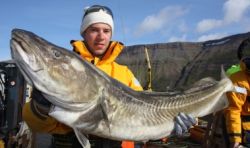 - Sportvissen