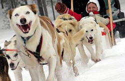Yll�s - Lapland