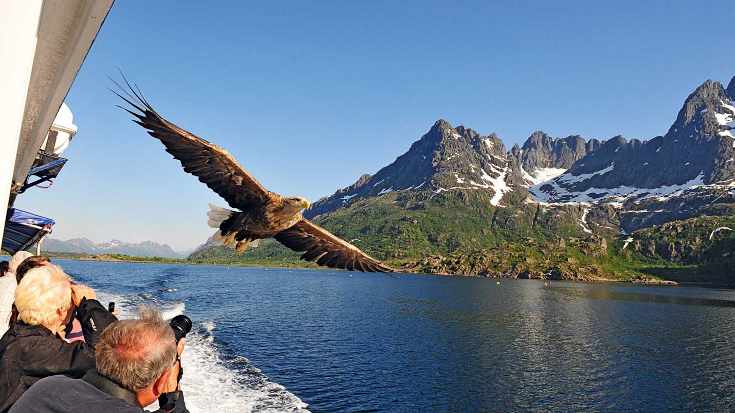 Met Hurtigruten middernachtzon beleven?