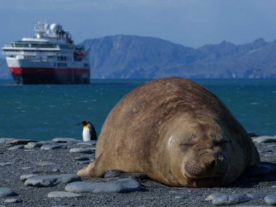 Hurtigruten expeditie Antarctica, South Georgia en Falkland Eilanden met BBI Travel