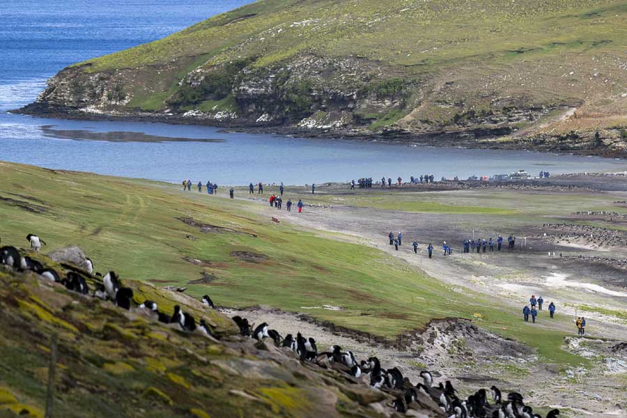 Landing op de Falklandeilanden