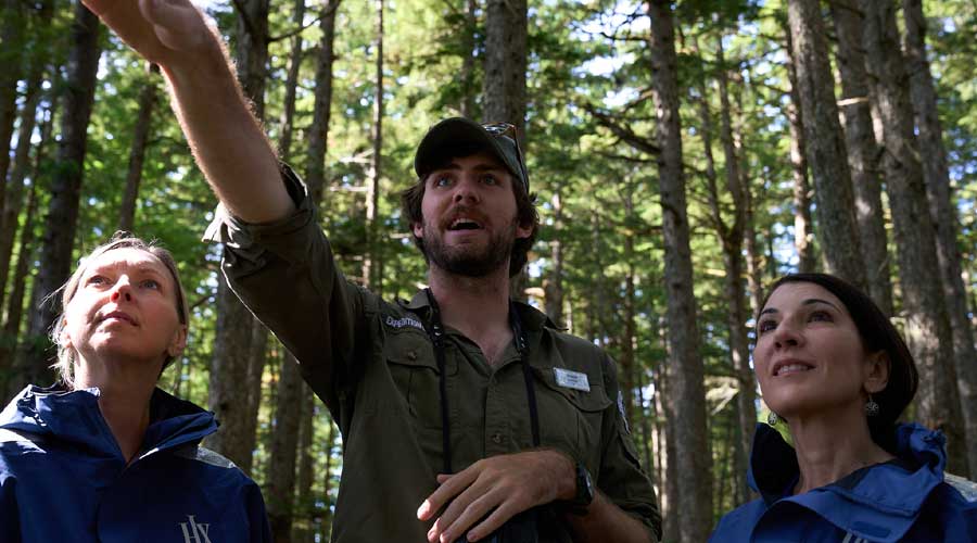 Lokale gidsen vertellen