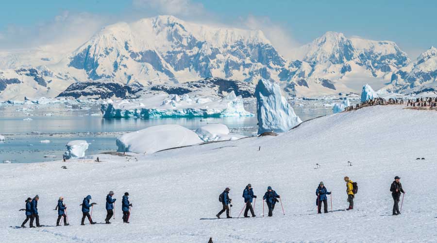 Ontdek de ongerepte natuur van Antarctica van Antarctica, hier op Petermann Island Ontdek de ongerepte natuur van Antarctica van Antarctica, hier op Petermann Island