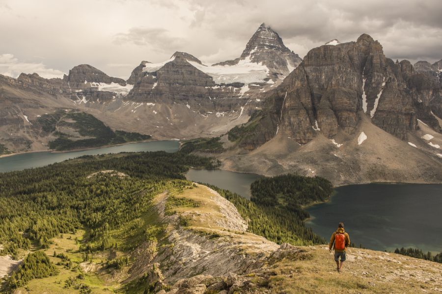 Wandelaar in de Kootenay Rockies in British Columbia in Canada.