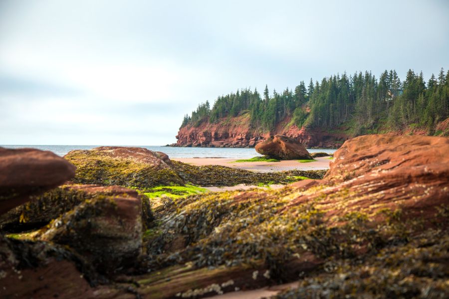 Uitzicht op zee bij Little Harbour op Prince Edward Island in Canada.