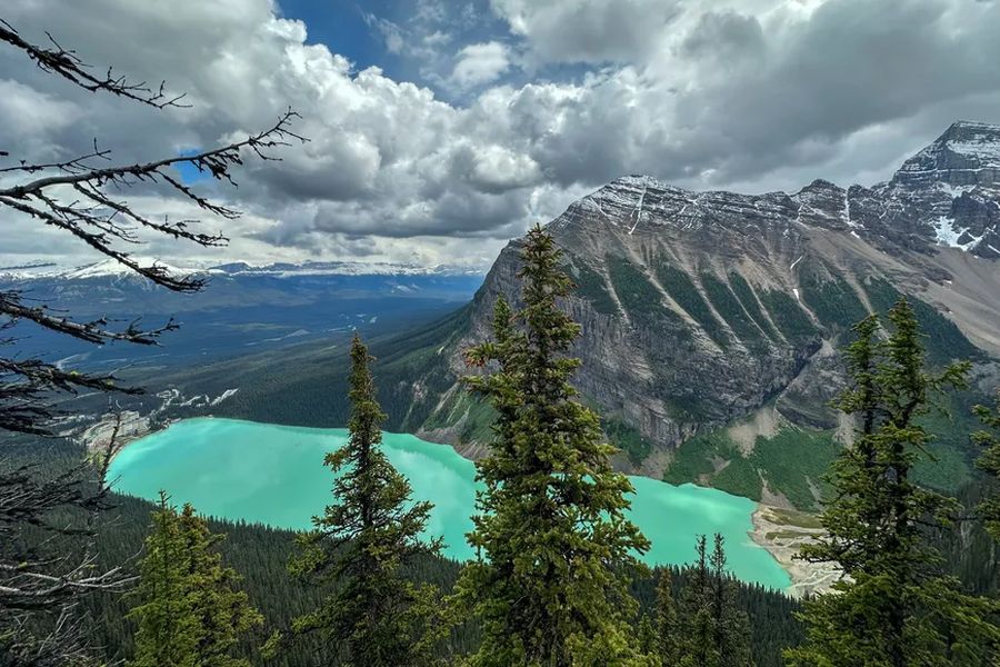 Uitzicht over Lake Louise vanaf hoog in de bergen in Canada tijdens een groepsrondreis