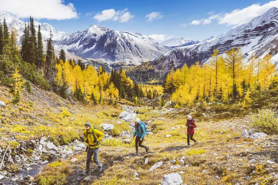 Wandelaars bij Pocaterra Ridge in Alberta in Canada.