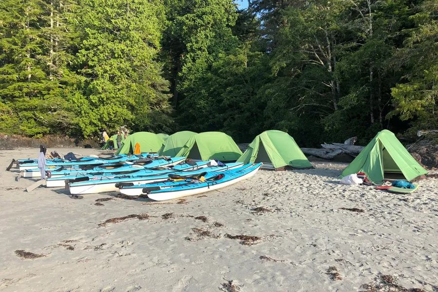 Tenten op Vancouver Island tijdens een groepsrondreis in West-Canada