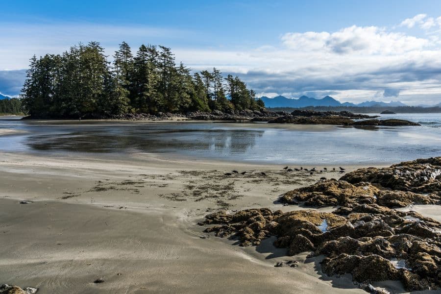 Een strand bij Tofino op Vancouver Island tijdens een groepsrondreis door West-Canada