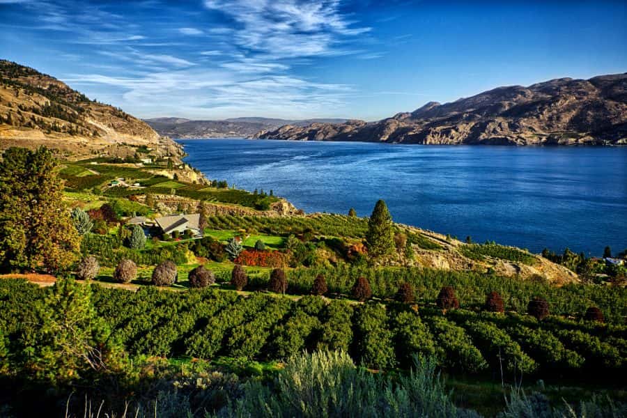 Uitzicht over de wijngaarden van Okanagan Valley in British Columbia in Canada.