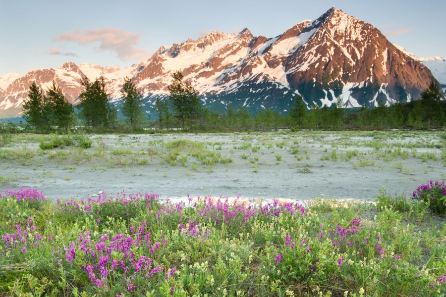Uitzicht over de Alsek River in Yukon tijdens een rondreis door Noord-Canada