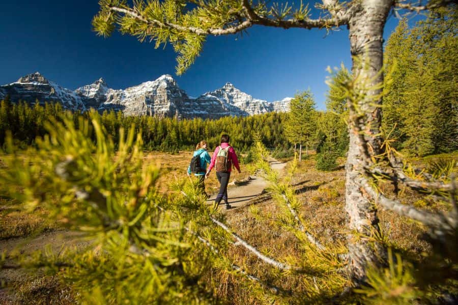 Wandelaars bij Sentinel Pass nabij Banff in Alberta in Canada.