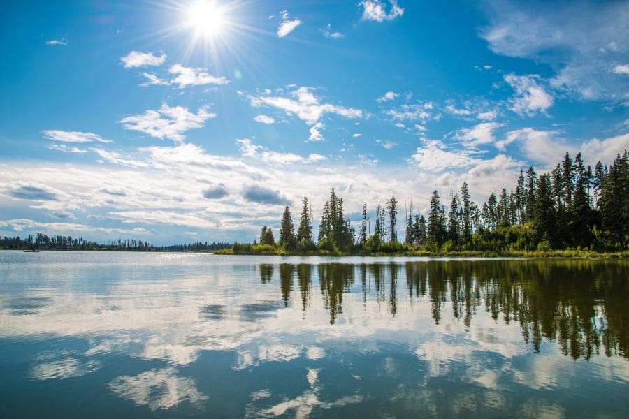 Uitzicht over Elk Island National Park in Alberta in Canada.