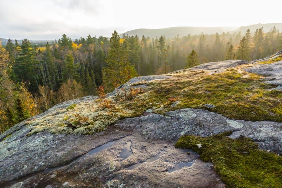 Uitzicht over Algonquin National Park in Ontario in Canada.