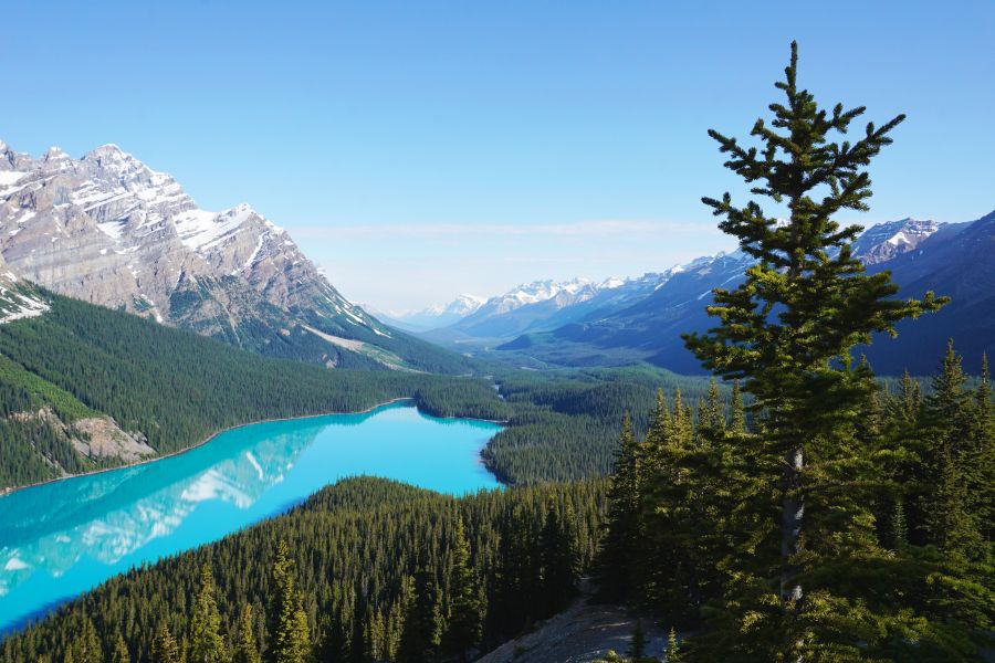 Uitzicht over Peyto Lake in Alberta in Canada.