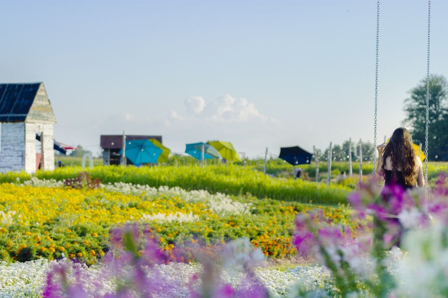 Vrouw loopt door de groene weides bij Lake Champlain in Quebec, Canada