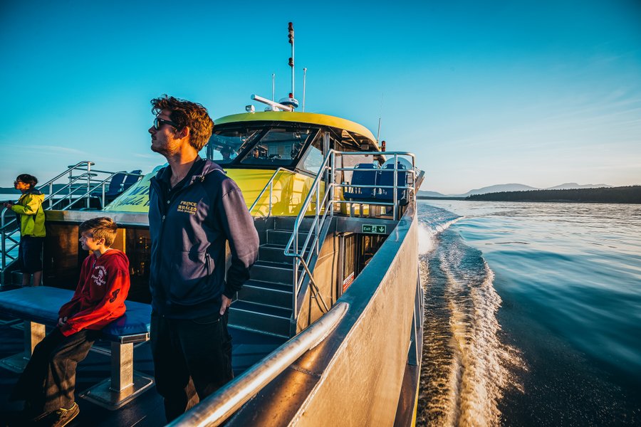 Canada excursie Whale Watching Vancouver