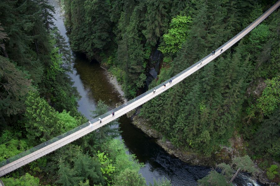 Vakantie Capilano Suspension Bridge Park in Diversen (Canada, Canada)