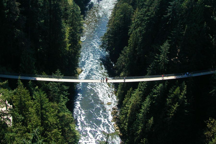 Canada excursie Capilano Suspension Bridge Park