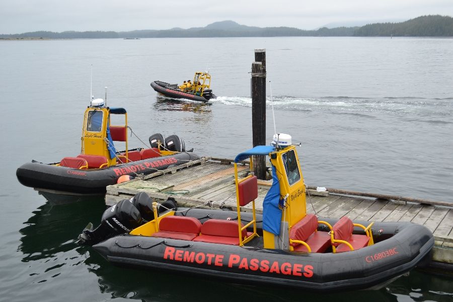 Boten bij een steiger in Tofino tijdens een wildlife excursie in Canada.