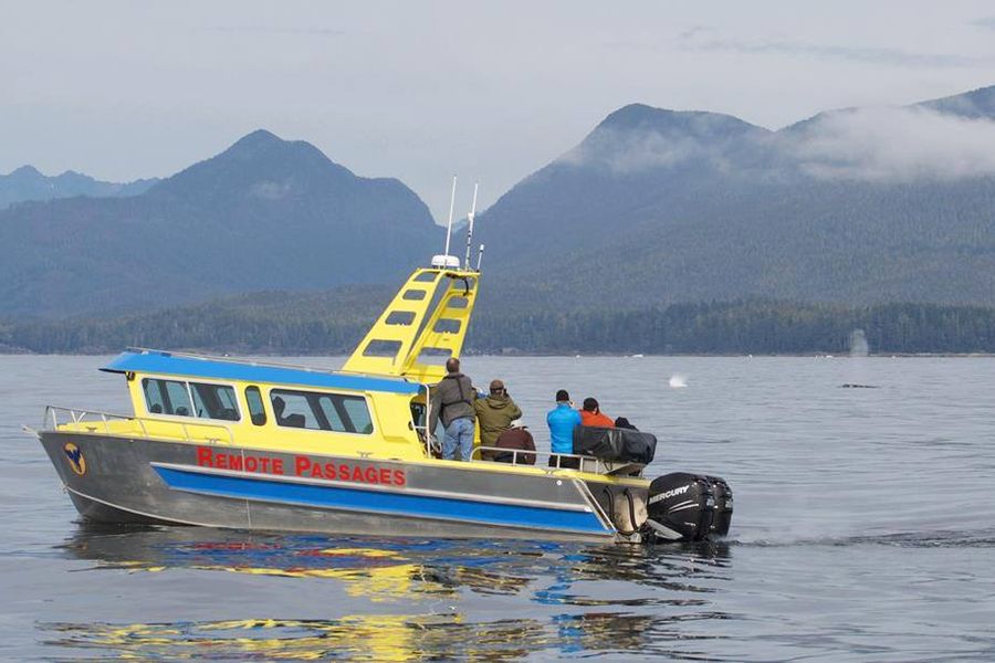 Boot op het water tijdens een wildlife tocht vanuit Tofino in British Columbia in Canada.