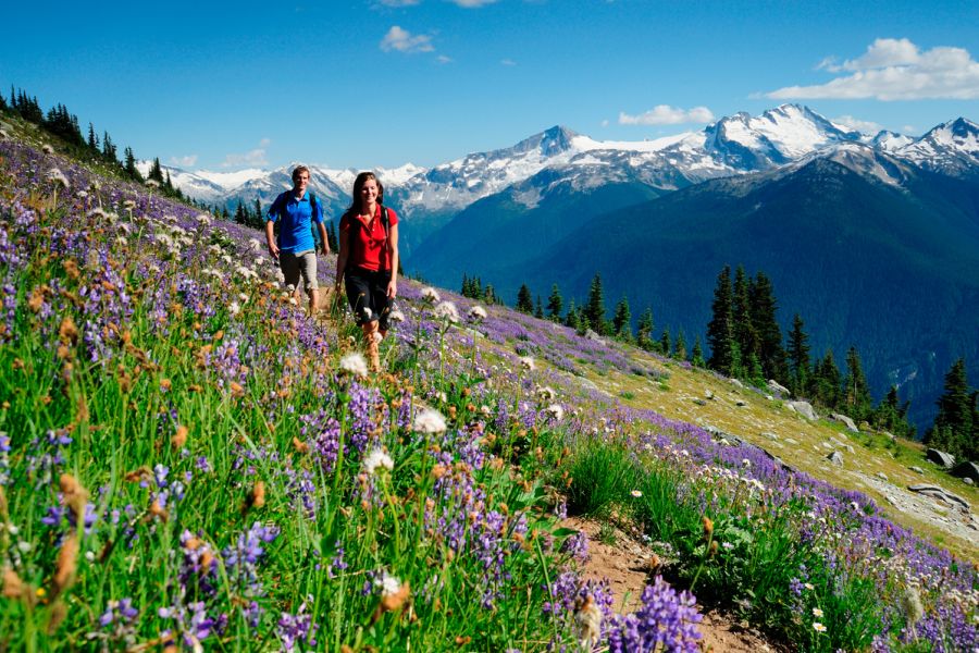 Wandelaars op Whistler en Blackcomb Mountain in British Columbia in Canada.