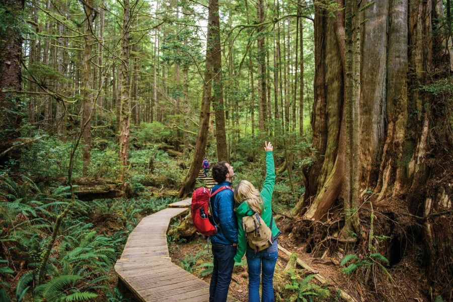Wandelaars op het pad door Pacific Rim National Park tijdens een wildlife safari in Canada.