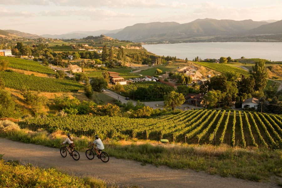 Canada excursie Wijnproeverij Wine Trail Kelowna