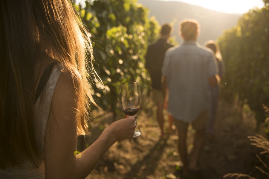 Canada excursie Wijnproeverij Wine Trail Kelowna
