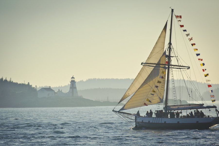 Jolly Breeze Walvistocht vanuit St. Andrews-by-the-Sea