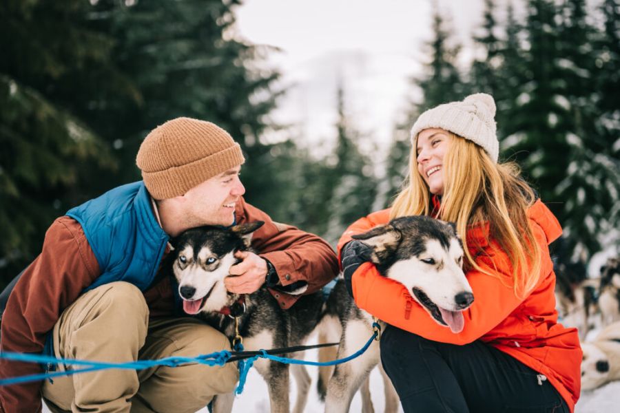 Canada excursie Huskytocht Whistler