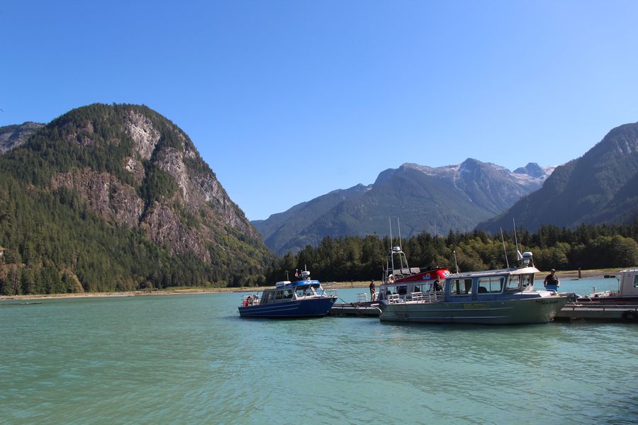 Canada excursie Grizzly Bear Tour Campbell River