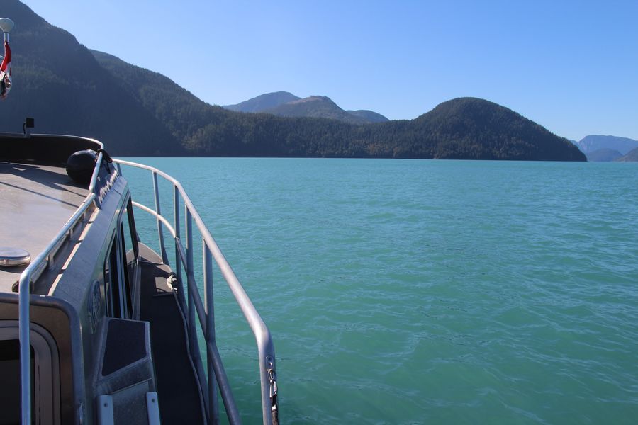 Canada excursie Grizzly Bear Tour Campbell River