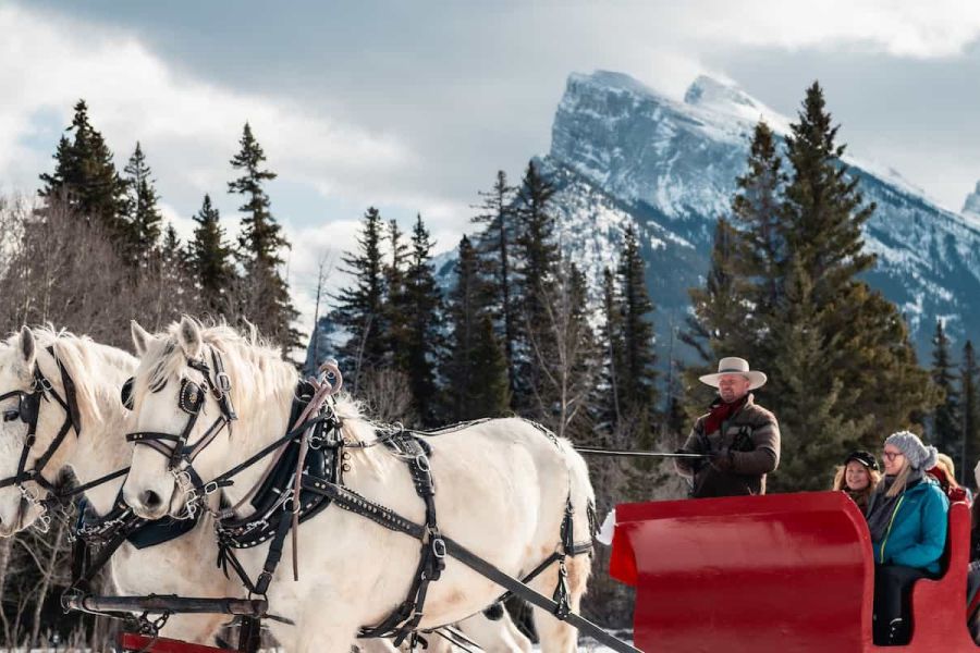 Paarden voor een slee tijdens een excursie in de Rocky Mountains in Canada.