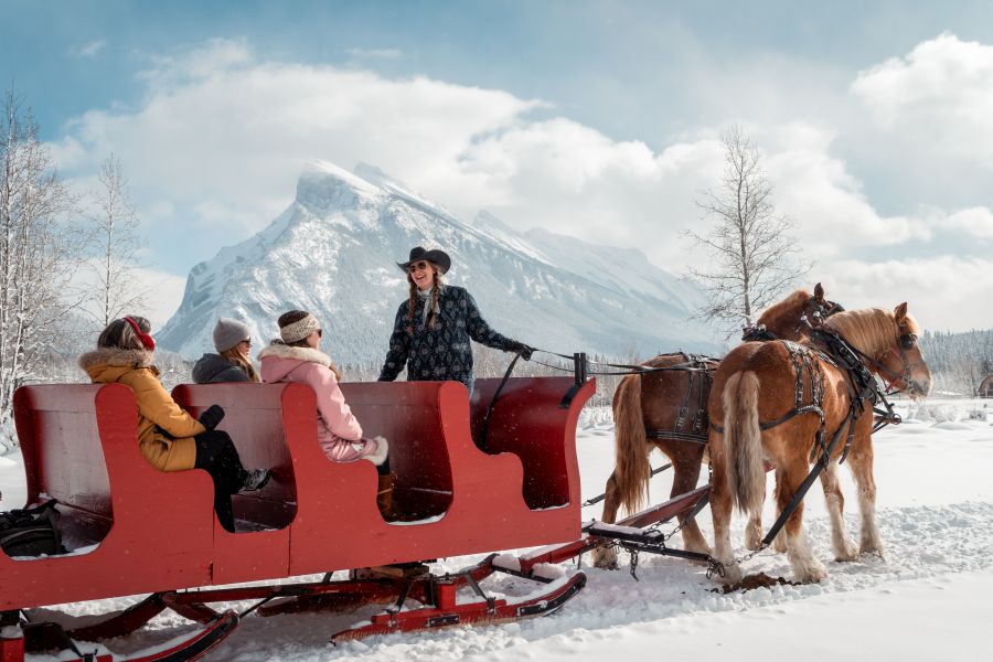 Passagiers in een door paarden getrokken slee tijdens een sledetocht excursie in Banff in Canada