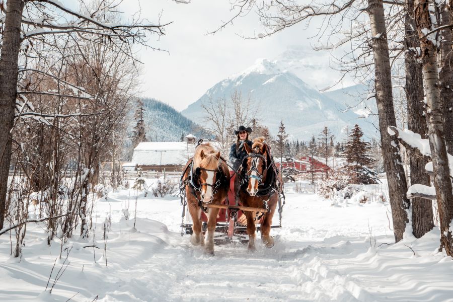 Vrouw rijdt in een slee met paarden door de Bow Valley in Canada