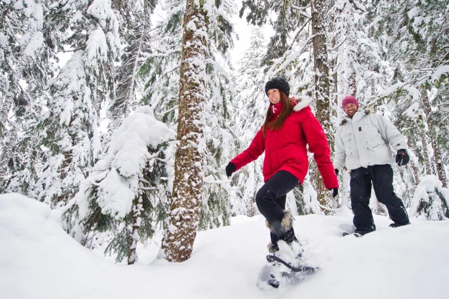 Wandelaars tijdens een sneeuwschoenwandeling langs Medicine Trail in Whistler Canada