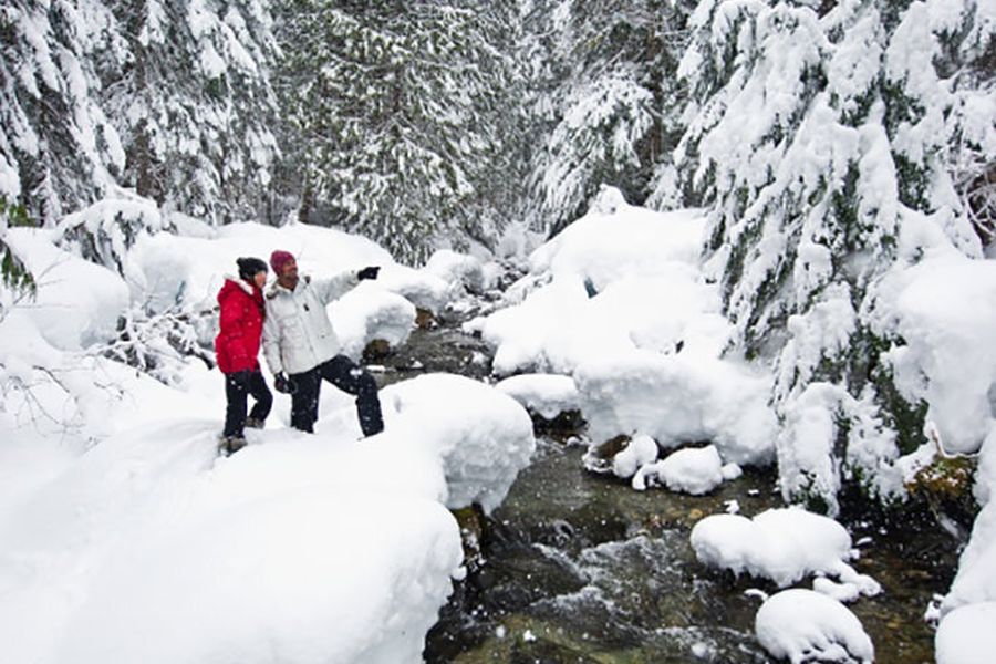 Wandelaars bij een beekje aan de Medicine Trail in Whistler Canada