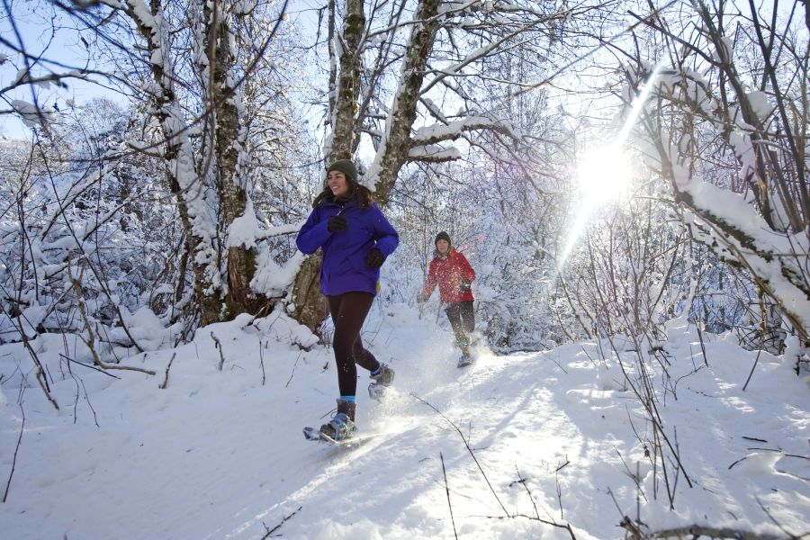 Sneeuwschoenwandelaars in Whistler Canada
