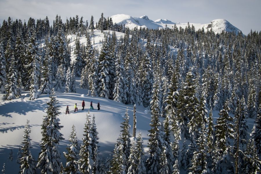 Wandelaars op de besneeuwde bergen van Whistler in Canada