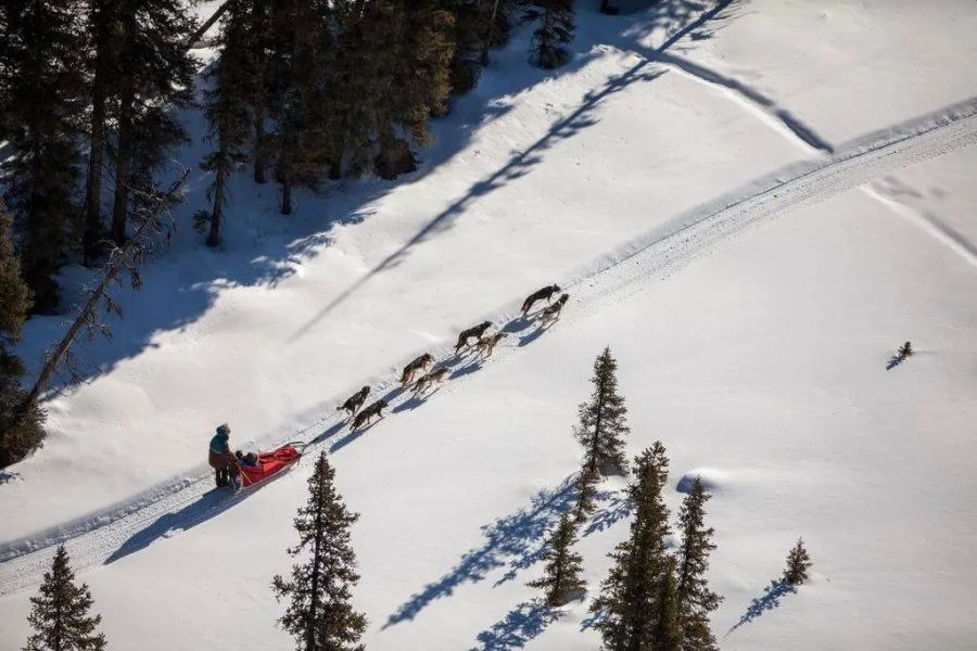 Bovenafzicht van een huskytocht vanaf Lake Louise in Canada