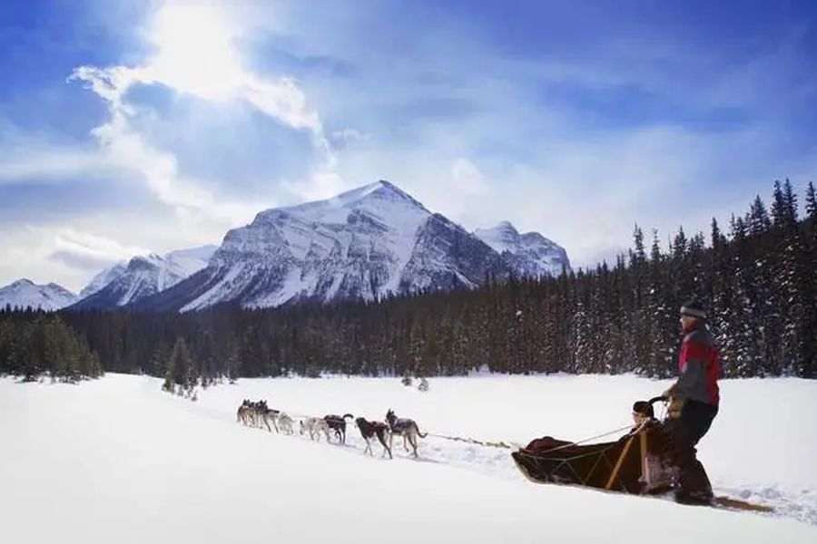 Vrouw op slee tijdens een huskysafari vanaf Lake Louise in Canada