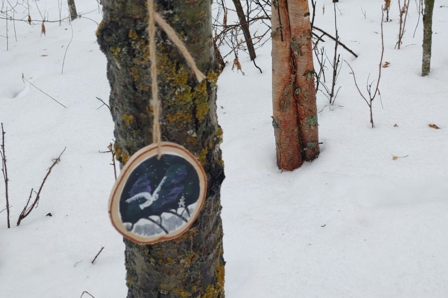 Beschilderd stukje boomstam hangt aan een boom in Elk Island National Park in Canada
