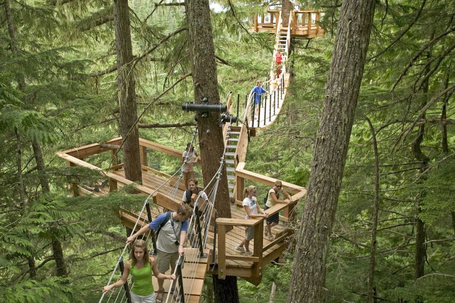 Mensen op het boomkroonpad van Ziptrek Ecotours in Whistler tijdens een rondreis door West-Canada