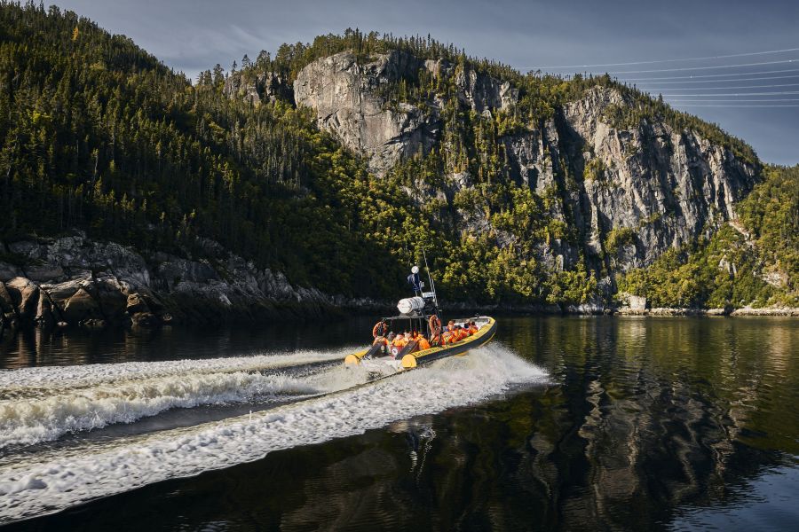 Canada excursie Whale Watching vanuit Tadoussac