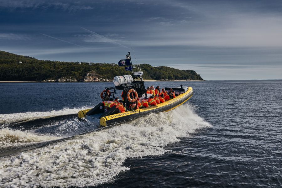 Canada excursie Whale Watching vanuit Tadoussac