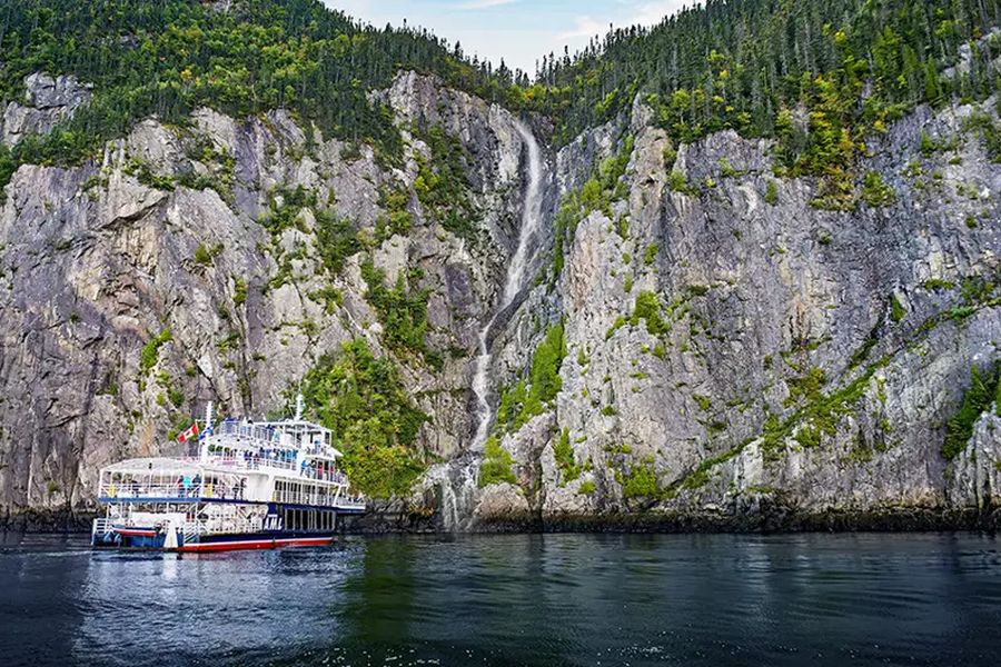 Canada excursie Whale Watching vanuit Tadoussac