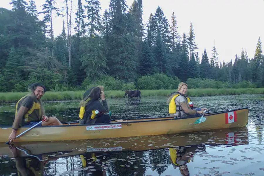 Kano Tour in Algonquin Provincial Park