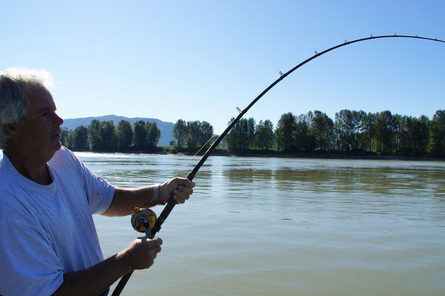 Fraser River steurvissen vanuit Chilliwack
